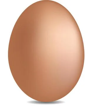 Chicken egg vector illustration isolated on white background Stock Illustration