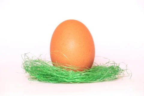 Chicken egg on a white background, Easter. Stock Photos
