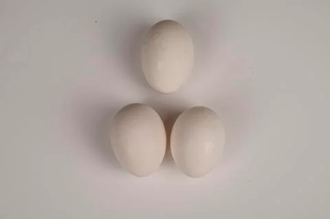 Chicken egg on white background. Not isolate Stock Photos