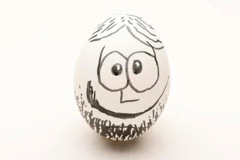 Chicken egg on a white background Stock Photos