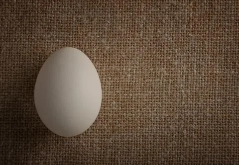 Chicken egg white Stock Photos