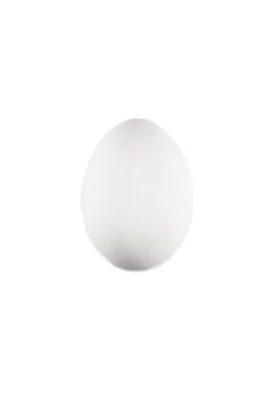 Chicken egg with a white shell isolated on a white background Stock Photos