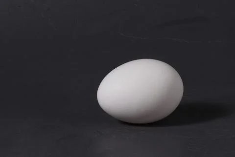 Chicken egg white single on a dark background. Stock Photos
