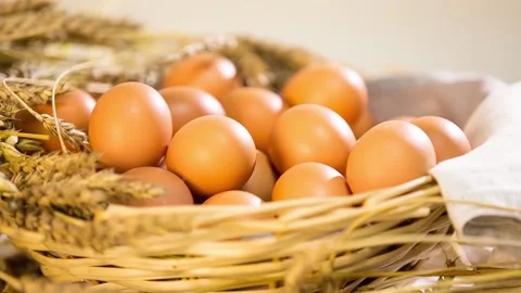 Chicken Eggs 1 Stock Footage 161016853
