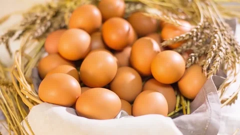 Chicken Eggs 2 Stock Footage 161018512