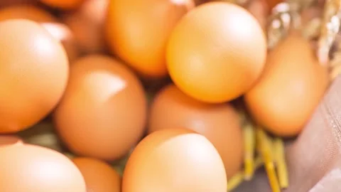 Chicken Eggs 3 Stock Footage 161018524