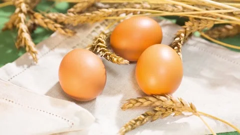 Chicken Eggs 5 Stock Footage 161018523