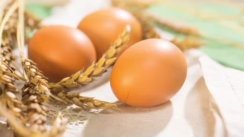 Chicken Eggs 6 Stock Footage 161016839