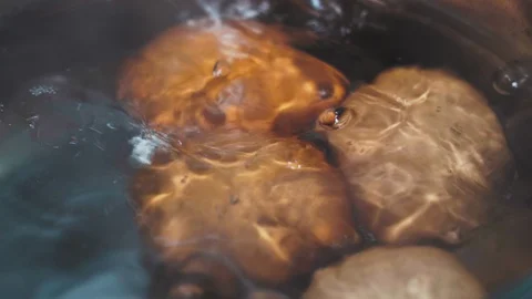 Chicken eggs are boiled in a pan in water Stock Footage 128496243