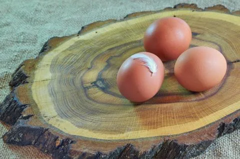 Chicken eggs are cut on a tree, on a linen napkin, the feather on the egg. Top Stock Photos
