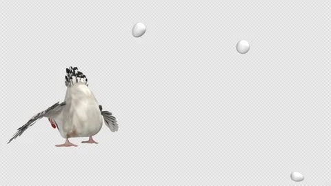 Chicken eggs attack - 3d render looped with alpha channel. Video stock 262070609