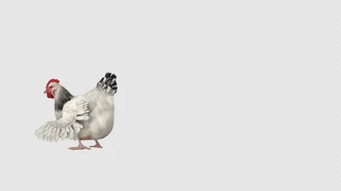 Chicken eggs attack - 3d render looped with alpha channel. Stock Footage 262072038