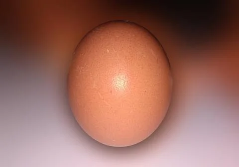 Chicken eggs in the background Stock Photos