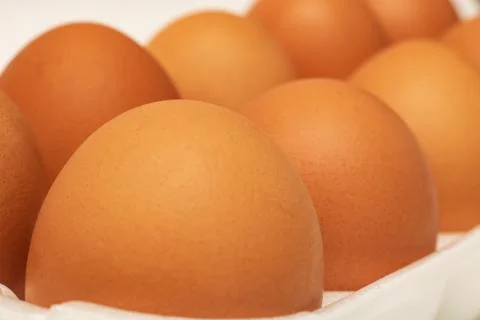 Chicken eggs in the backing close up Stock Photos