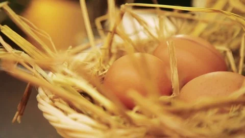 Chicken eggs in a basket Stock Footage 73106408