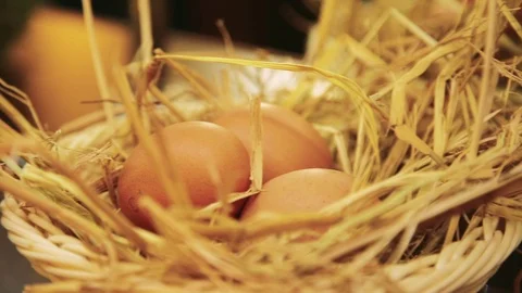 Chicken eggs in a basket Video stock 73106413