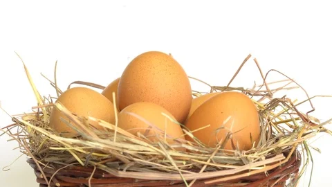 Chicken Eggs In A Basket Vidéo 90770099
