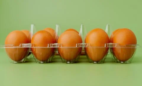 Chicken eggs in a beautifully arranged panel light green background. Foto stock