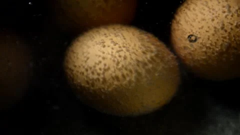 Chicken eggs is being boiled Stock Footage 250089092