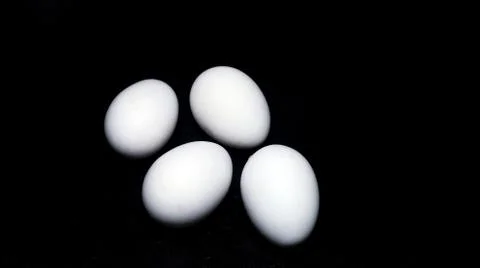 Chicken eggs in black background Stock Photos