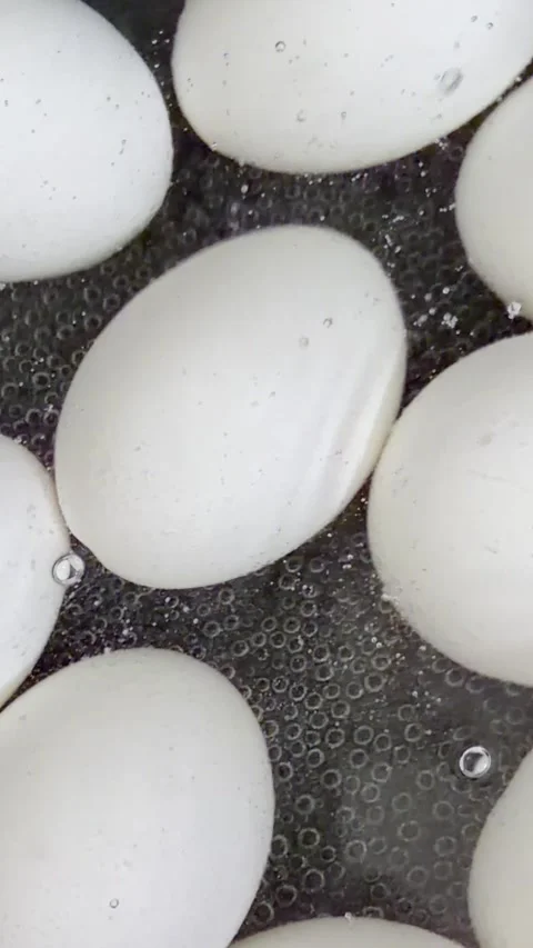 Chicken eggs boiling in water for hard boiled eggs Video stock 337585563