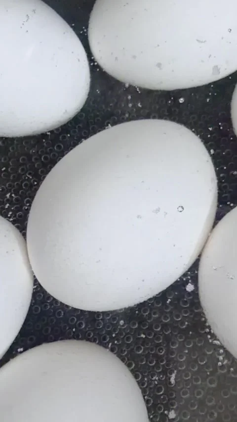 Chicken eggs boiling in water for hard boiled eggs Video stock 337585582