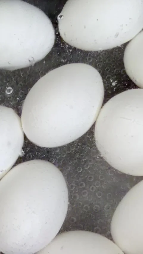 Chicken eggs boiling in water for hard boiled eggs Stock-Footage 337585960