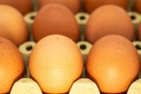 Chicken eggs in box, ordered eggs, close up Stock Photos