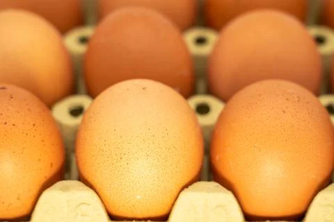 Chicken eggs in box, ordered eggs, close up Stock Photos
