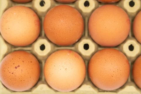 Chicken eggs in box, ordered eggs, close up Stock Photos