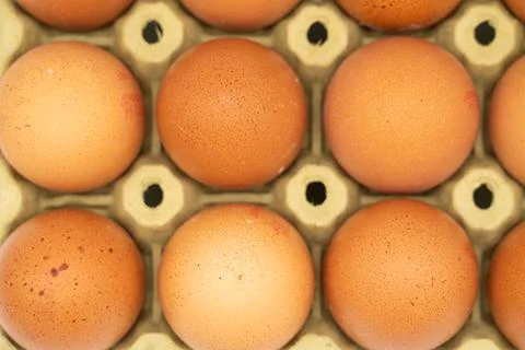 Chicken eggs in box, ordered eggs, close up Stock Photos