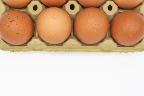 Chicken eggs in box, ordered eggs with copy space Stock Photos