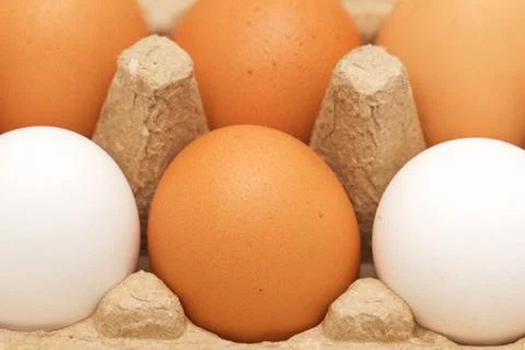 Chicken eggs in a box Foto stock