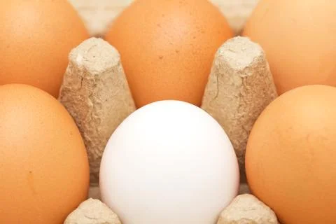 Chicken eggs in a box Stock Photos