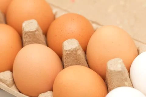 Chicken eggs in a box Stock Photos
