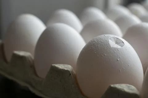 Chicken eggs in box Stock Photos