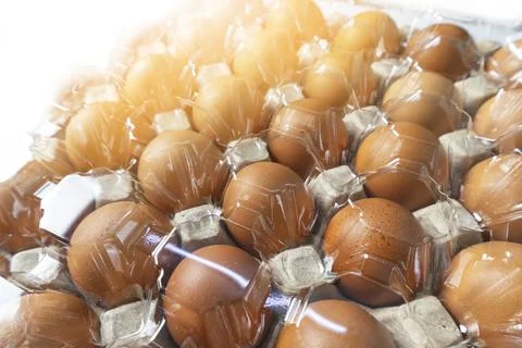 Chicken eggs in cardboard box with plastic cover for protection, egg busine.. Stock Photos