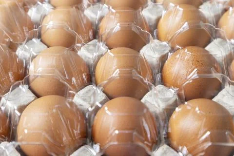 Chicken eggs in cardboard box with plastic cover for protection, Chicken eg.. Stock Photos