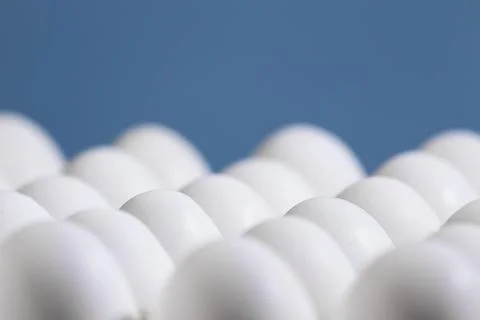 Chicken eggs in a cardboard boxon a light blue background, Raw Fresh Chicken Stock Photos