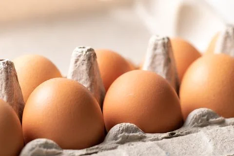 Chicken eggs in the cell egg tray close-up Stock Photos
