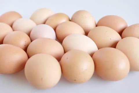 Chicken eggs closed up, egg shell texture 스톡 사진