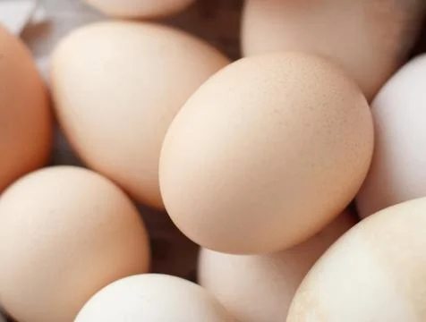 Chicken eggs closeup Stock Photos
