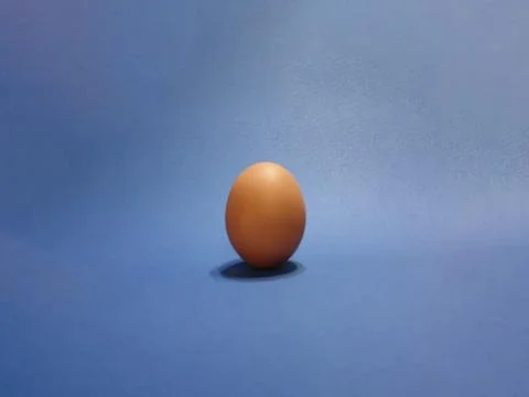 Chicken eggs on colored background Stock Photos
