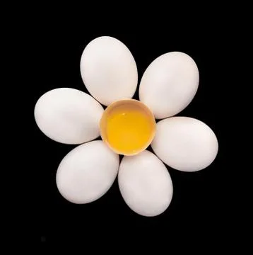 Chicken eggs composition flower shaped eggs Stock Photos