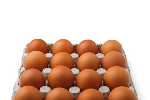 Chicken eggs in a container from below isolated on a white background. Stock Photos