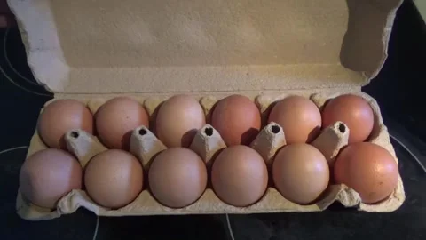 Chicken eggs in a container Video stock 309366186