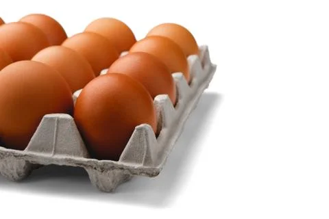 Chicken eggs in the container on the left isolated on a white background. Stock Photos