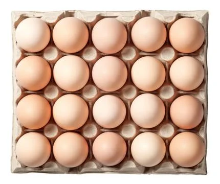 Chicken Eggs in Container Stock Photos