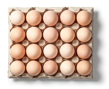 Chicken Eggs in Container Stock Photos