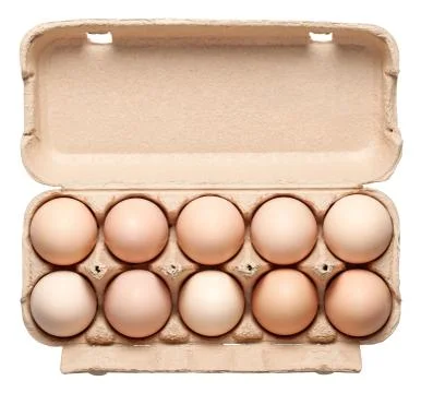 Chicken Eggs in Container Stock Photos